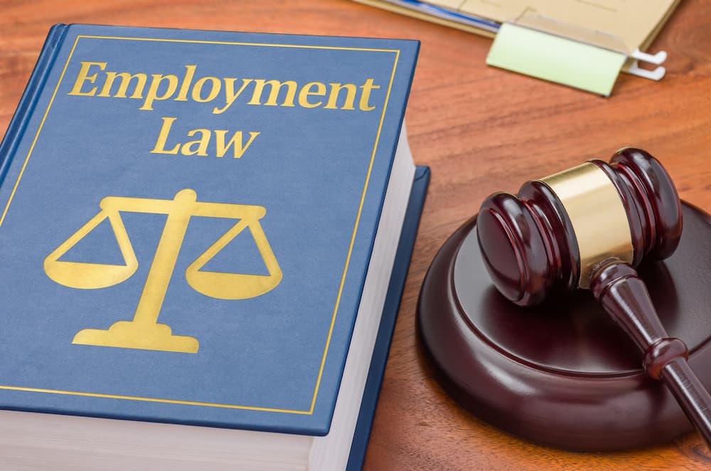Best Employment Lawyer in Gurgaon | Novation Legal – HR Compliance & Labour Dispute Experts